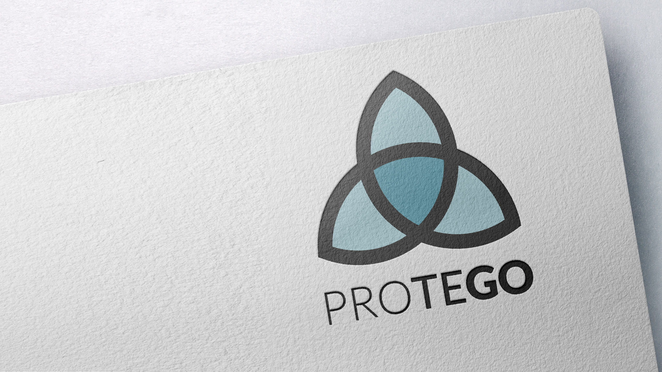 01 Protego Logo