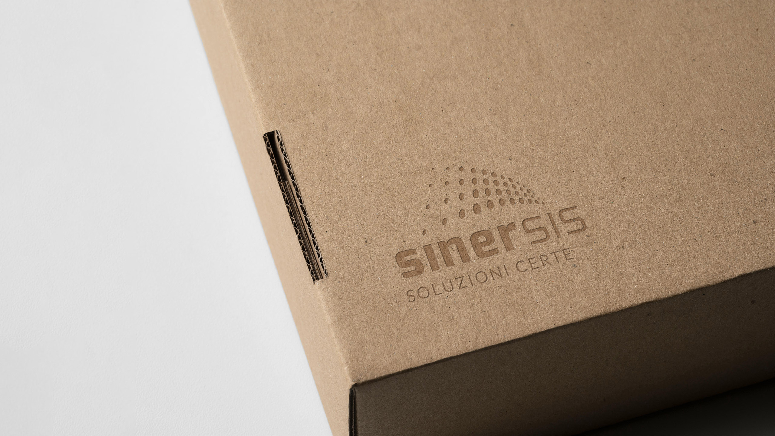 01_sinersis logo