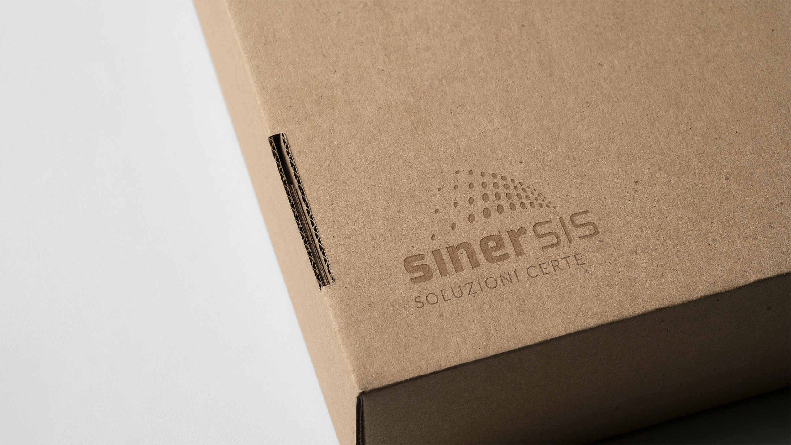 01 Sinersis Logo