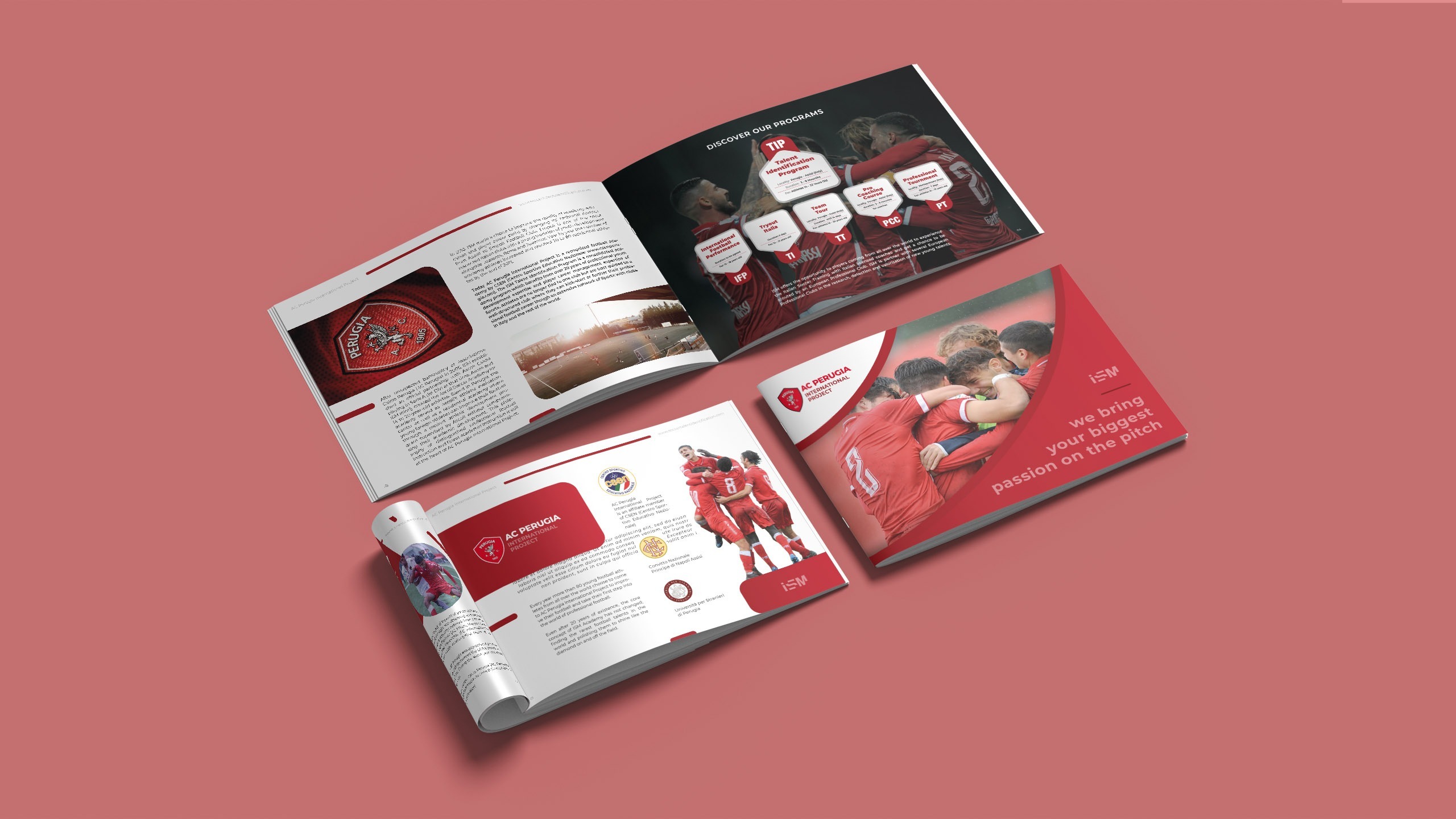 05 Ism Brochure